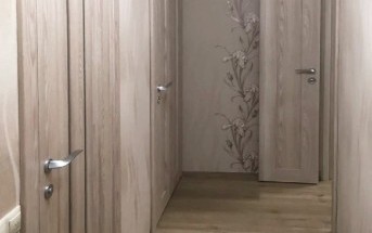 дверь твайс какая она