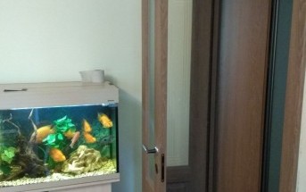 Фотогалерея двери система Twice 