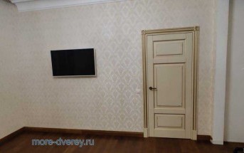 Двери из массива бука